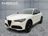 Alfa Romeo Stelvio VELOCE 2.0 Turbo 16V 280PS - Alfa Romeo Stelvio Tageszulassungen
