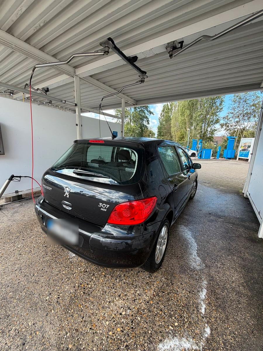 Peugeot 307 2006 — rear view
