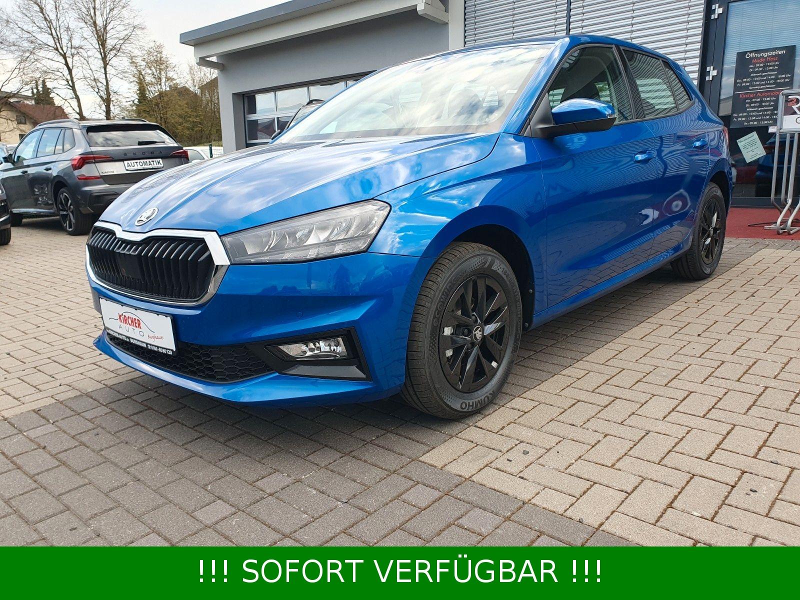 Skoda Fabia TSI Selection Plus *Kamera*Climatronic*