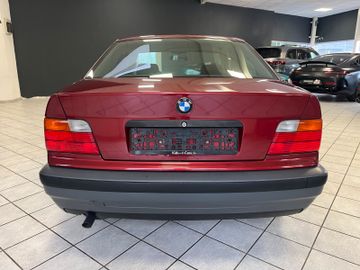 BMW 316 - 7