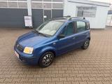 Fiat Panda 1.1/Tüv Neu/Panorama - Fiat Panda aus 2005: Allradantrieb