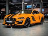 Ford Mustang 2,3 ECO-Boost Shelby-Body-Kit - Ford Mustang in Hamburg