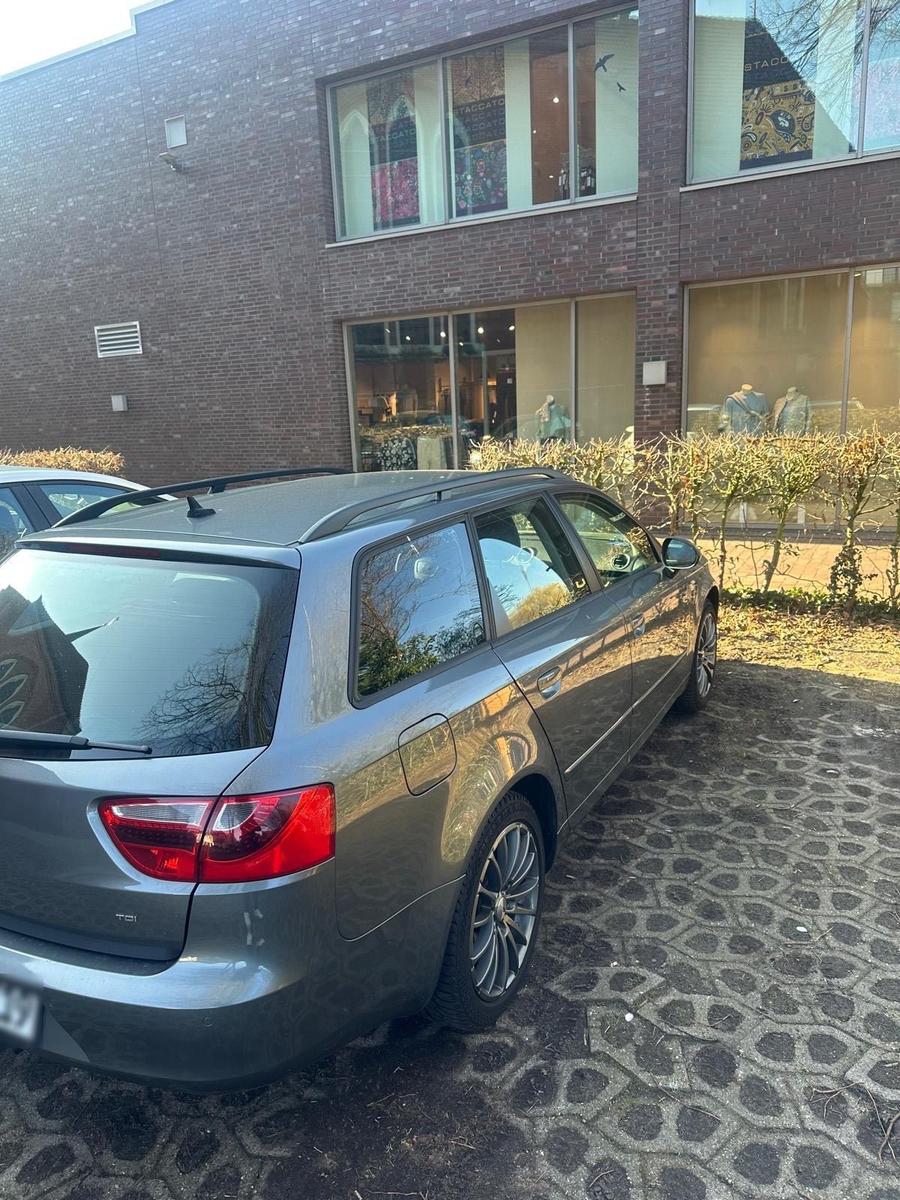 Seat Exeo 2013 — rear view