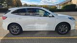 Ford Kuga 2.5 Duratec FHEV ST-Line X 4WD - Ford Kuga: Allradantrieb, 2.5