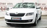 Skoda Octavia Elegance*Navi*Xenon*Leder*Spurhalteass.* - gebrauchte Skoda Octavia aus dem Jahr 2013
