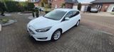 Ford Focus 1,0 EcoBoost 92kW Titanium Turnier Tit... - Ford Focus: 1.9