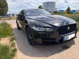 Jaguar XE 20d AWD Portfolio / Head Up / Scheckheft - Jaguar XE Portfolio mit Diesel-Antrieb