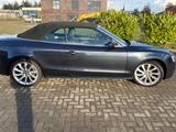Audi A5  3.0 TDI Cabriolet quattro S line LEDER  - Audi Cabriolet: Allradantrieb