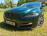 Jaguar XJ Luxury 3.0 V6 Diesel Luxury - Jaguar XJ: L