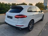 Porsche Cayenne Diesel -Service - Porsche: Service