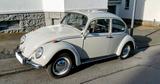 Volkswagen Käfer 1200A  von 1965 - jedermanns Liebling - Volkswagen Käfer: 1200l