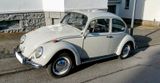 Volkswagen Käfer 1200A  von 1965 - jedermanns Liebling - Volkswagen Käfer in Wuppertal