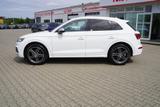 Audi SQ5 3.0 TFSI quattro Matrix VC AHK Luftfahrwerk - Audi: Luftfahrwerk