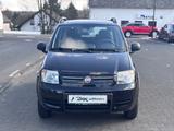 Fiat Panda 1.2 8V Climbing  4X4 **KLIMA**1-HAND** - Fiat Panda: 4.4