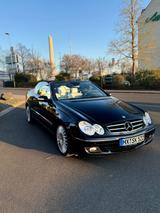 Mercedes-Benz CLK 320CDi Cabrio,TÜV/NEU,Automatik,VOL - Mercedes-Benz mit Diesel-Antrieb: Cabrio, Clk