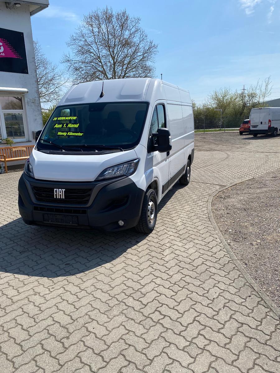 Fiat Ducato Hochr.-Kasten  L2H2  Tempomat + DAB