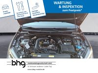 Volkswagen Taigo - Vorschau Bild 16