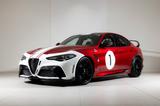 Alfa Romeo Giulia GTAm - Silverstone 1972 1/20 - Alfa Romeo Giulia GTAm Gebrauchtwagen