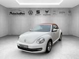 Volkswagen Beetle Cabriolet Design 1,2 TSI - VW Beetle Gebrauchtwagen in Hamburg