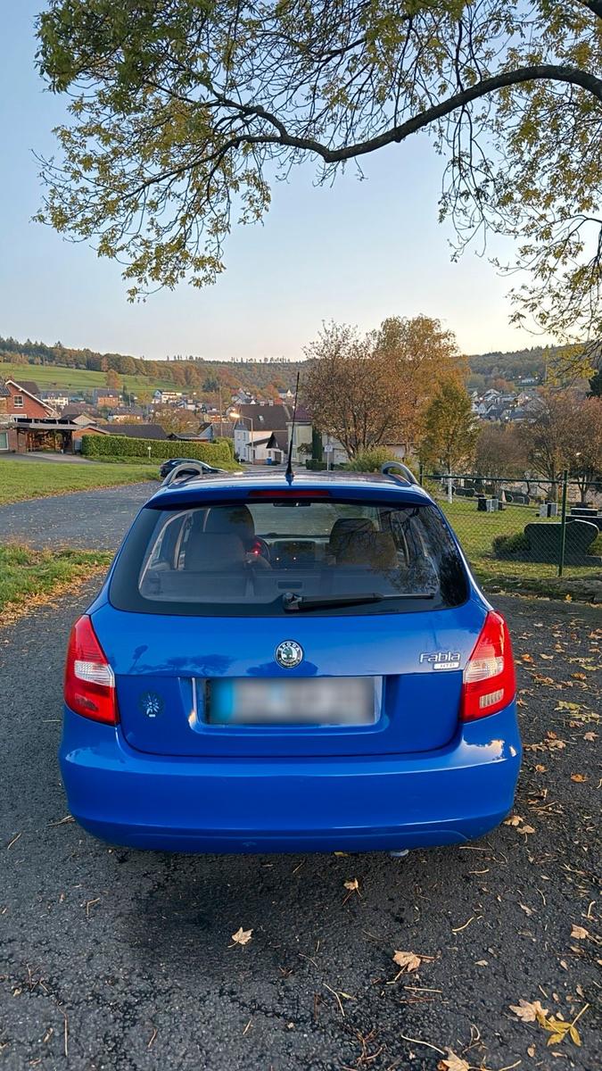 Skoda Fabia 2009 — engine 60 HP (44kW)