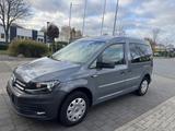 Volkswagen Caddy 2,0TDI 75kW BMT Conceptline 5-Sitze Co... - Volkswagen Caddy: Conceptline