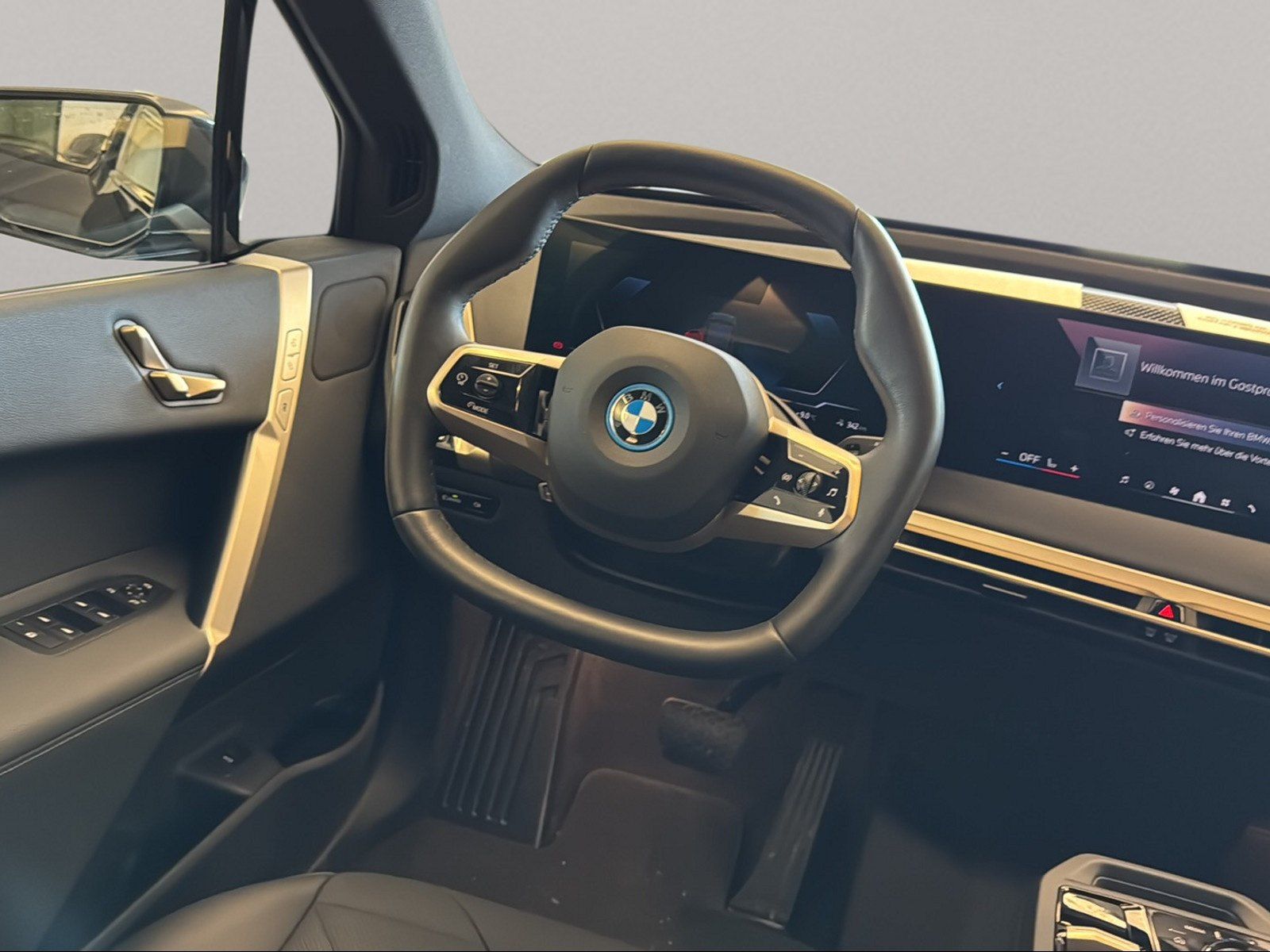 BMW iX - Bild 18