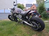 Harley-Davidson VRSCR Street Rod - HARLEY-DAVIDSON 2005 V ROD