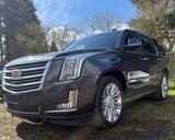 Cadillac Escalade 6.2 V8 Platinum Autom. Platinum - Cadillac Escalade: Von Privat
