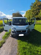Fiat Ducato 250, LKW, Pritsche 3- Seiten Kipper - : Pritsche Lkw