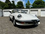 Alfa Romeo Alfa Spider - Alfa Romeo Spider aus 1989