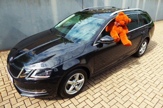 Skoda Octavia Combi  Canton-Soundsystem Apple Carplay