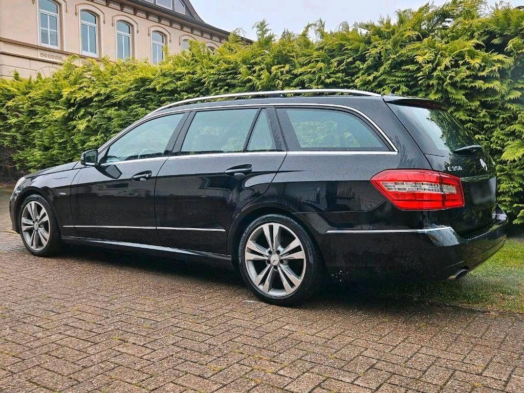 Mercedes-Benz E350 2009 — rear view