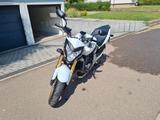 Honda Hornet - CB600FA - HONDA CB 600