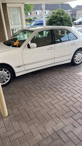 Mercedes-Benz Mercedes e430 W210 - Mercedes-Benz E-Class: 210