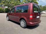 Volkswagen Caddy 1,6TDI 75kW DSG BMT Roncalli Edition 5... - Volkswagen Caddy: Roncalli