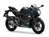Kawasaki Ninja 125 *2026* | Jetzt vorbestellen - KAWASAKI V 12