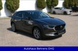 Mazda CX-30 Automatik EZ2023 |19tkm |1.Hand |Garantie - Mazda CX-30 aus 2023