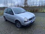 Volkswagen Lupo 1.4 Comfortline Comfortline - Volkswagen Lupo Comfortline mit Benzin-Antrieb