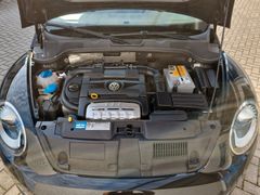 Fahrzeugabbildung Volkswagen Beetle 1.4 TSI Design XENON SHZ PDC GRA