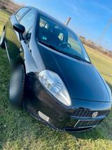Fiat Punto - gebrauchte Fiat Punto aus dem Jahr 2008