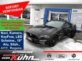 Ford Mustang Fastback 5.0 GT - MagneRide, Klim.Sitze  - Ford Mustang in Erfurt