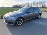 Audi A4 2.0TDI 140kW S tronic Av. - Leder,Head Up,LED - Audi A4: 140 TDI