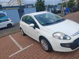Fiat Fait Punto im gute Preis - Fiat Punto in Hannover