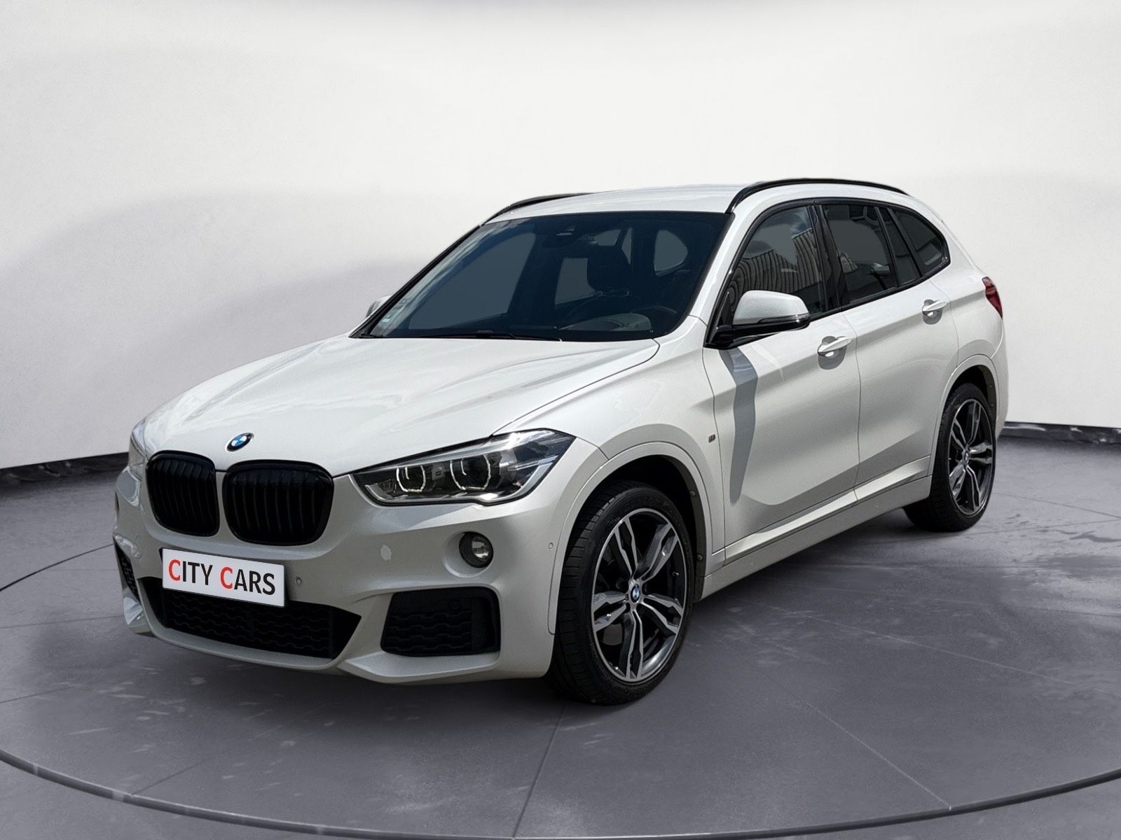 BMW X1 xDrive 25 d M Sport Paket Navi LED Kamera AHK