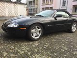 Jaguar XK - Jaguar XK aus 1998