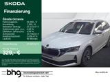 Skoda Octavia Combi 2.0 TDI DSG SelectionTour PanoDach - Skoda Octavia Jahreswagen mit Diesel-Antrieb