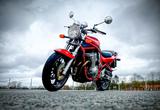 Suzuki GSF 600  (GN 77 B) - SUZUKI GN