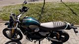 Triumph Scrambler 1200 XE Steve McQueen Limited Edition  - TRIUMPH SCRAMBLER