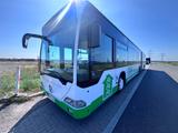 Evobus Mercedes Benz Citaro C1  - Evobus LKWs