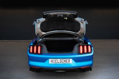 FORD Mustang SHELBY GT350 Track Package - EINZELSTÜCK